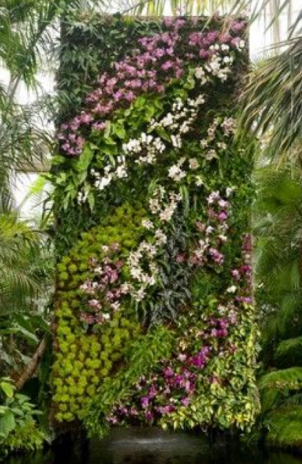 Taman Gantung dengan Tanaman Anggrek